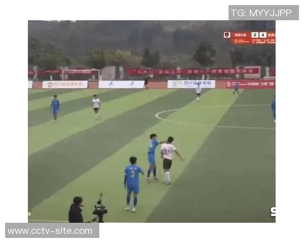 四川足协对日火瓦体飞踹拳击裁判事件做出严厉处罚禁赛五年以示警戒 四川足协对日火瓦体飞踹拳击裁判事件做出严厉处罚禁赛五年以示警戒