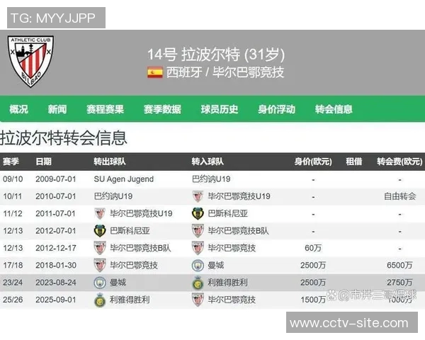 曼城老将云集球队阵容中30岁以上球员占比显著